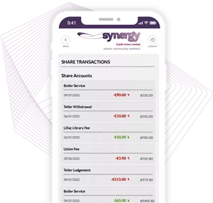 View Account Balances and Transactions