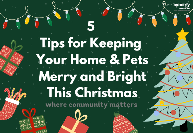 5 Tips for Christmas Pets and Home