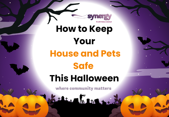 Keeping House and Pets Safe At Halloween