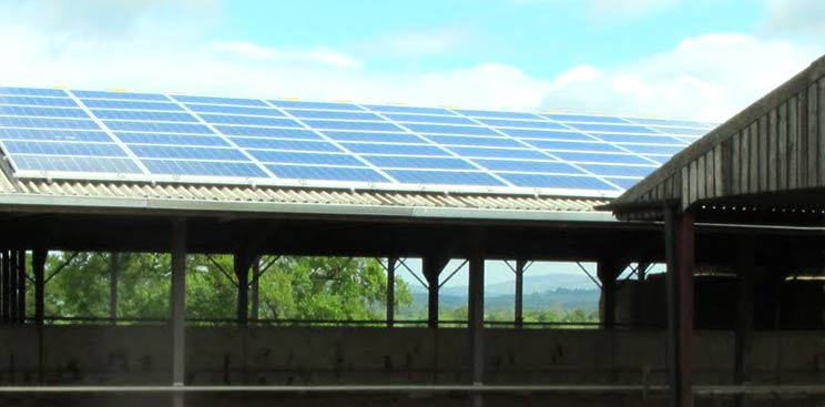 Solar Guide For Dairy Farmers