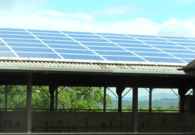 Solar Guide For Dairy Farmers