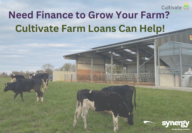 Farm Loans in Cork